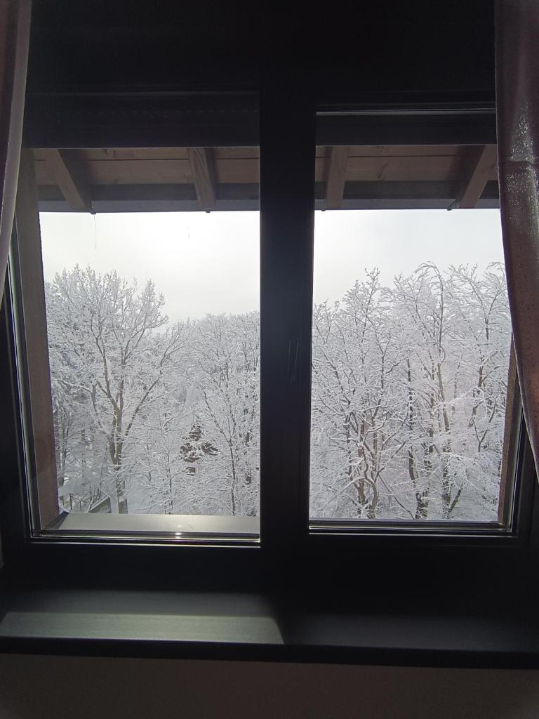 Apartman Lux Relax nalazi se u Titovoj vili photo 4