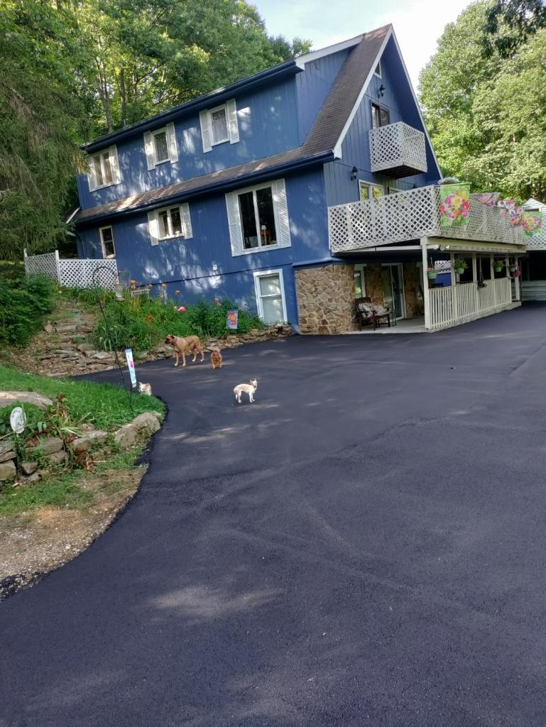 Lil Black Bear Inn photo 4