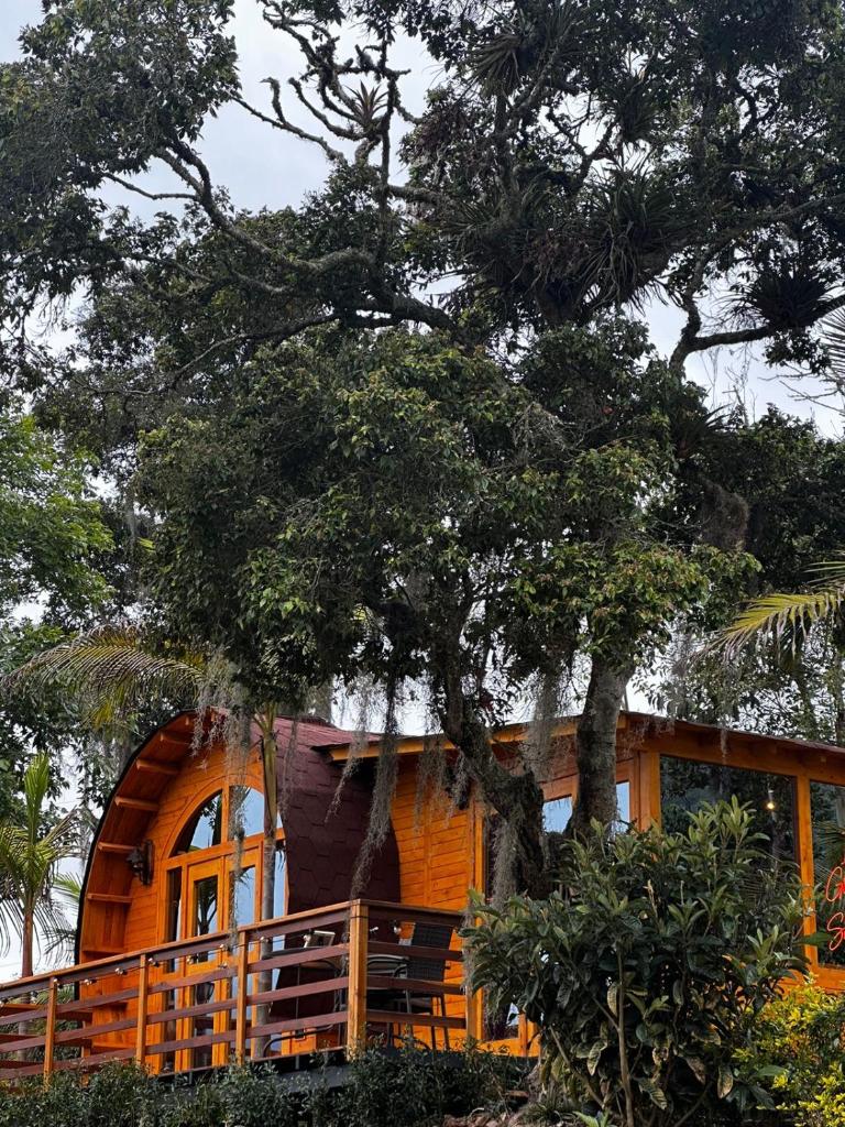 Glamping Shalom photo 4