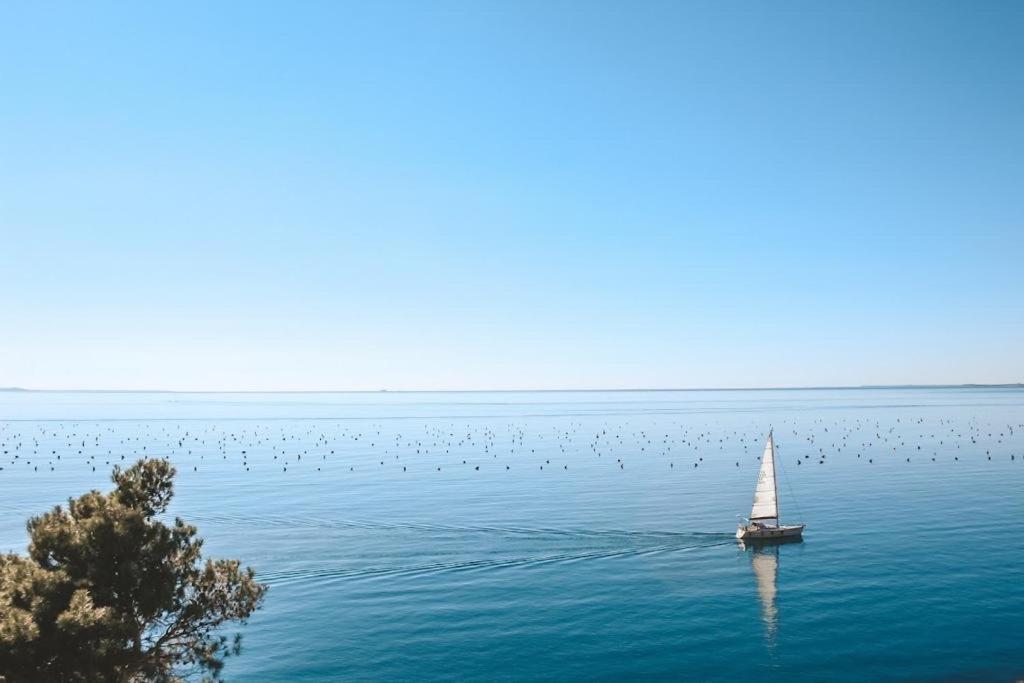 Villa_a.mare photo 1