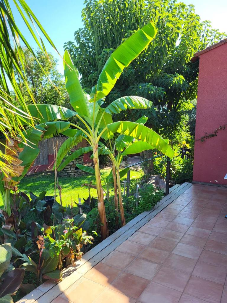 Maison avec jardin arboré photo 1
