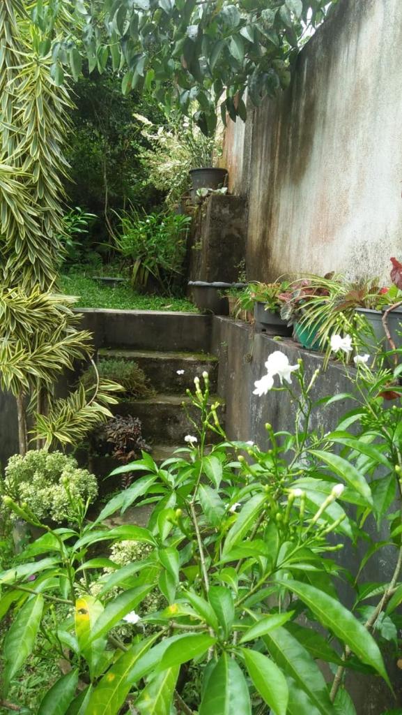 Saumya villa photo 1