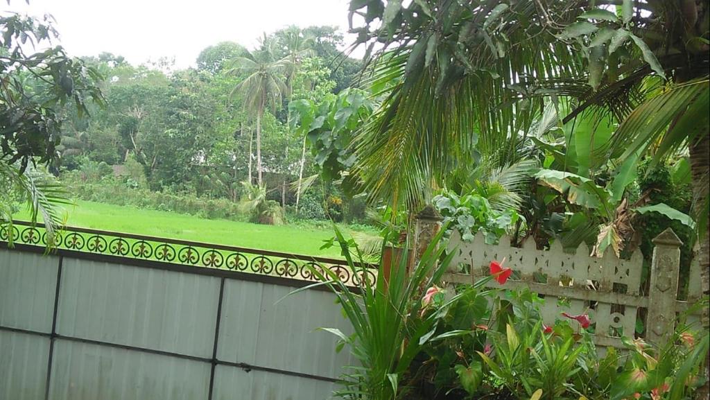Saumya villa photo 3