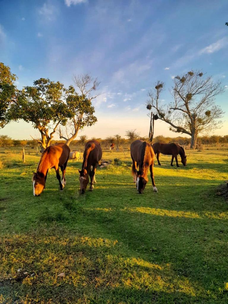 ESTANCIA SAN BALTAZAR