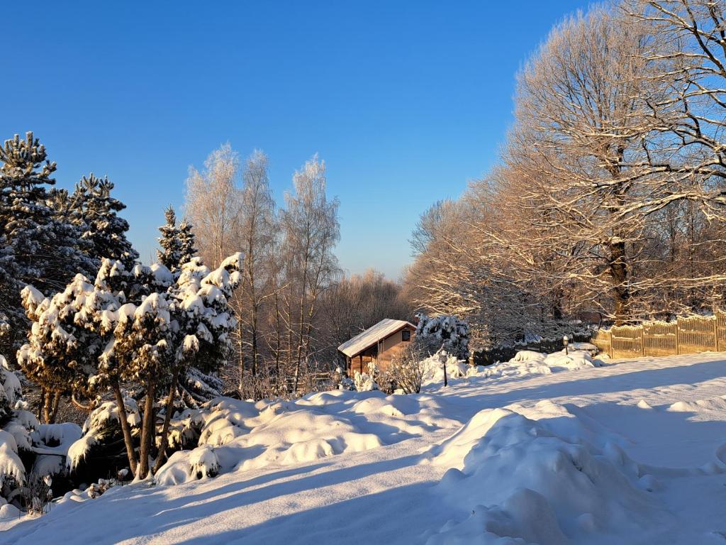 Brzozowy Zakątek photo 1