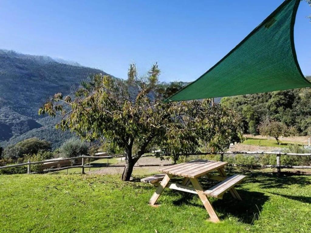 House with garden, games area and shared pool photo 4