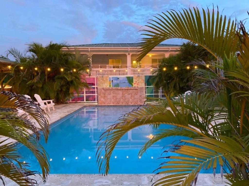 El Flamingo Beach Club photo 1