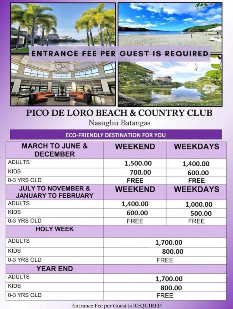Condo Unit for Rent at Pico de Loro by Raquel's Place photo 2