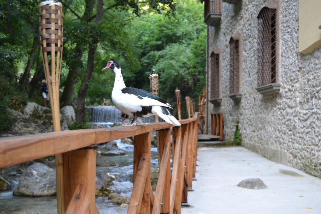 Dimora Storica Hotel Maccarunera - Tap to explore photos