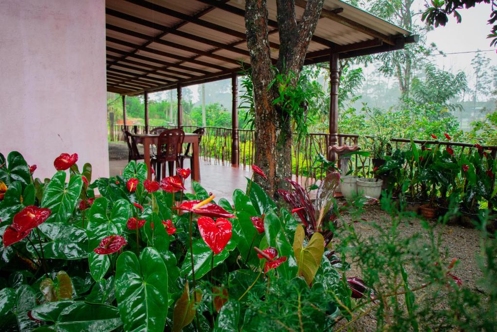 Nine Arch Homestay photo 3