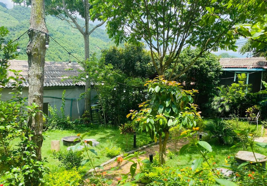 Lưng Đồi Homestay Mộc Châu