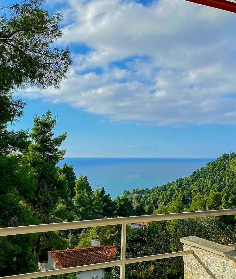 Calma Resort photo 1