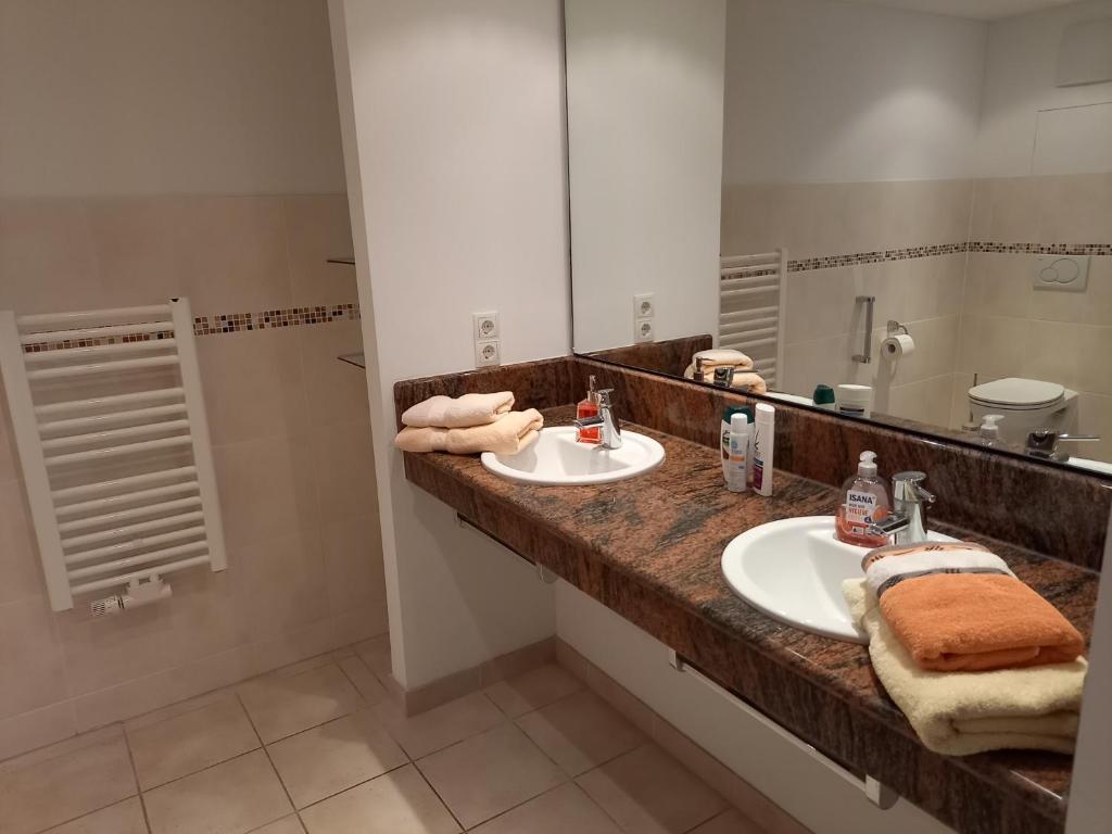 Wellness Ferienwohnung mit Bademantelgang zur Therme photo 4