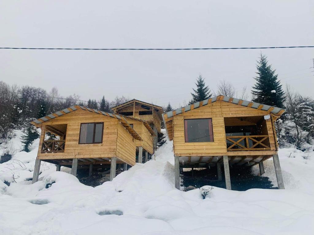 MESTIA COTTAGE TiME photo 1