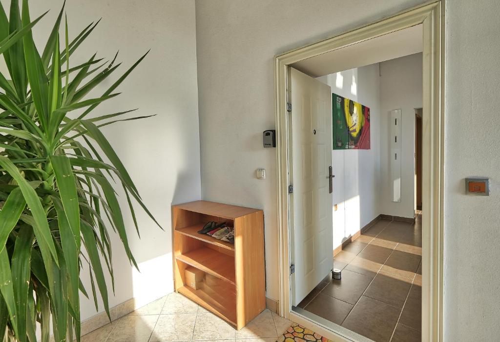 Apartment Ken near Terme Paradiso photo 1