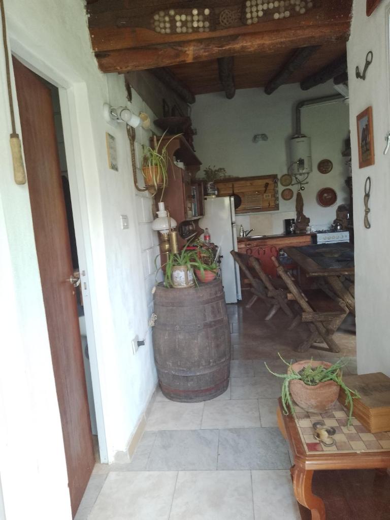 Los Colibries photo 3