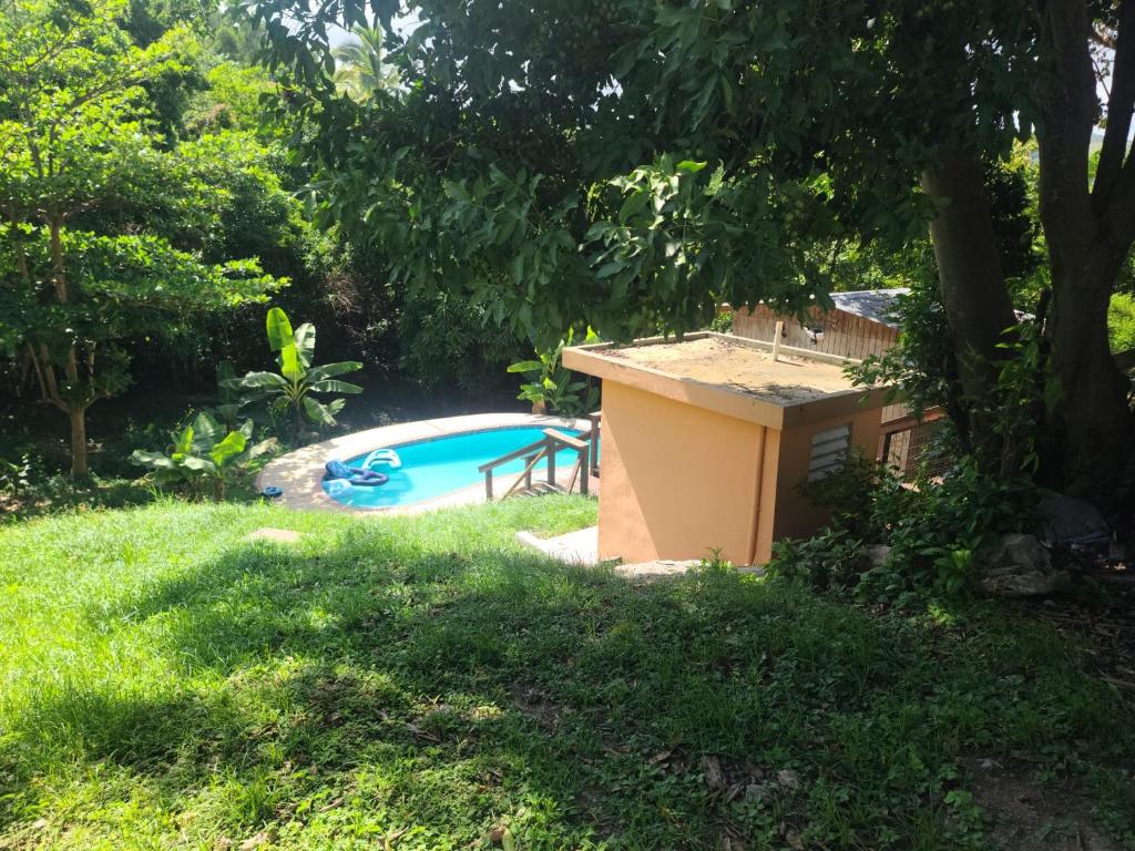 Country Paradise photo 4