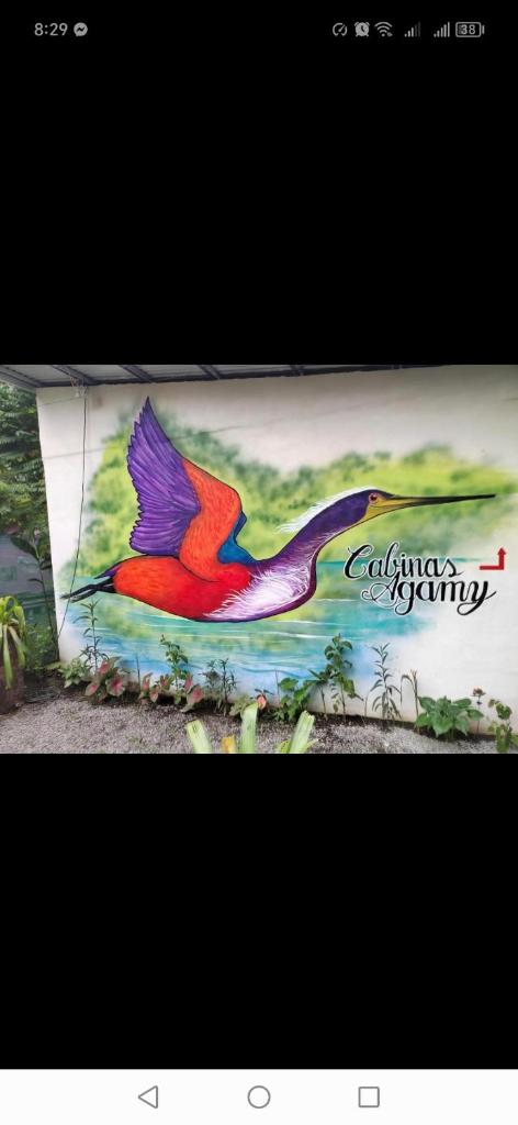Cabinas Agamy photo 4