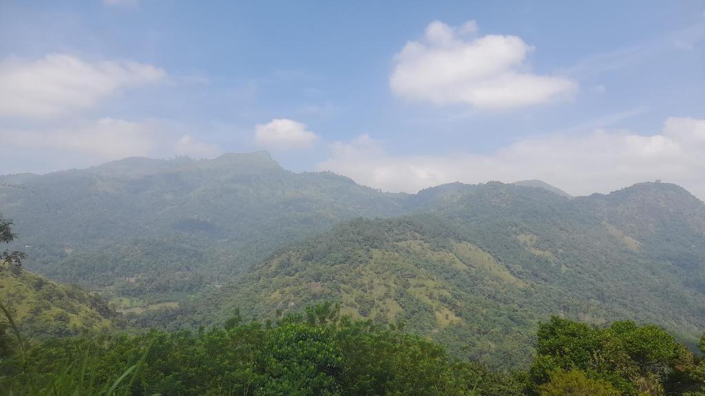 LD RoomA DunhidA photo 2