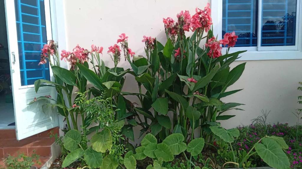 Damnak Loung Homestay photo 3