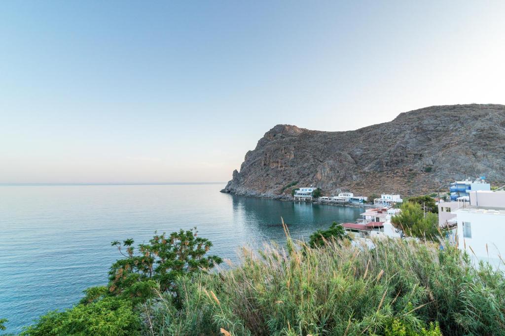 Athina Residence photo 1