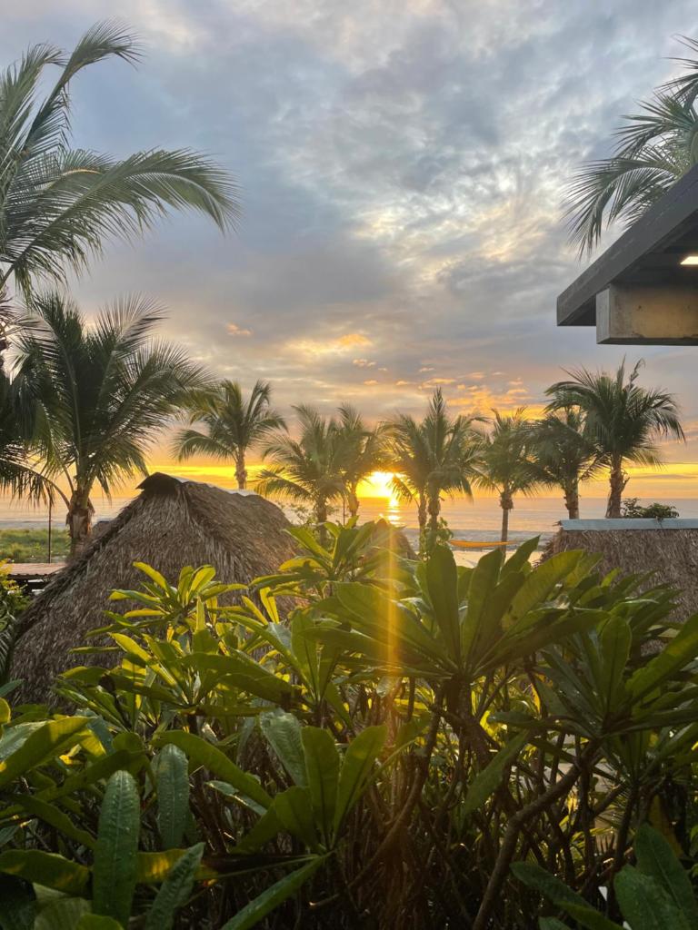 San Carlos Surf Resort & Eco Lodge photo 1