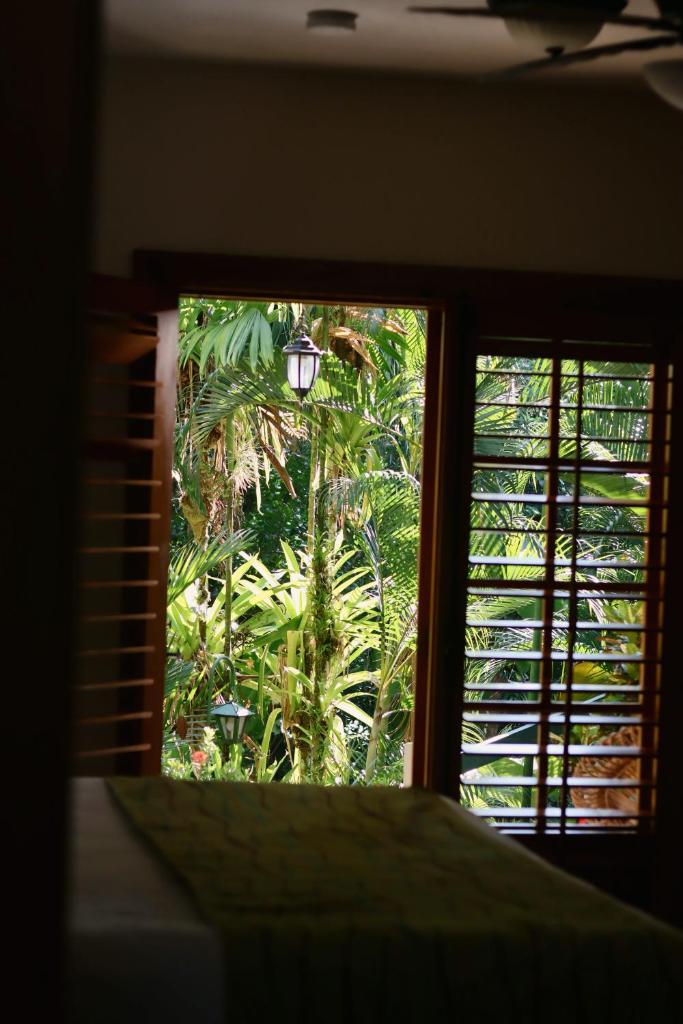 The Falls at Manuel Antonio photo 4