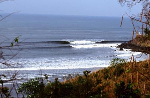 Las Flores Resort photo 1