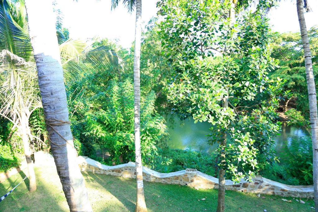 River Edge Yala photo 3