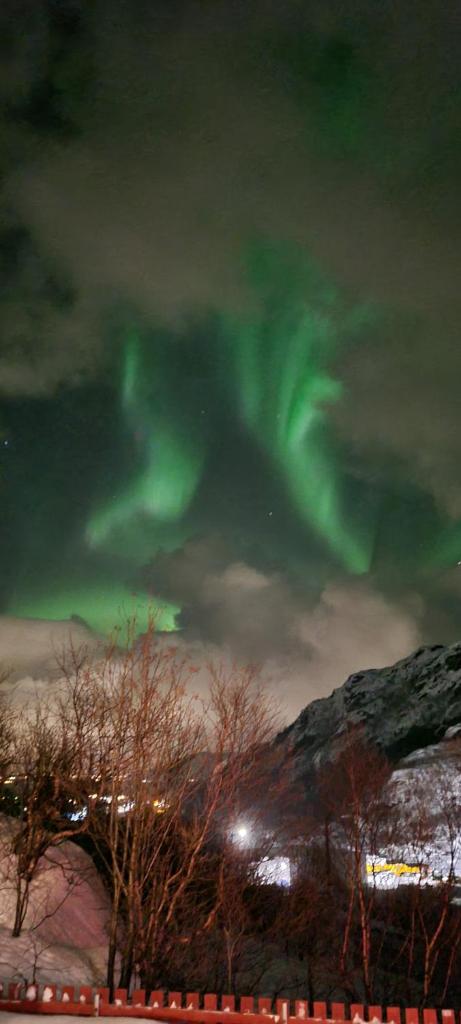 Skipperhuset photo 2