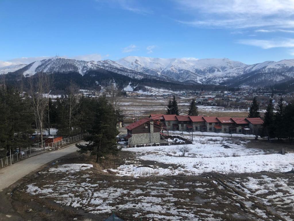 Bakuriani Fun, nice view and design, cosy and spacious photo 1