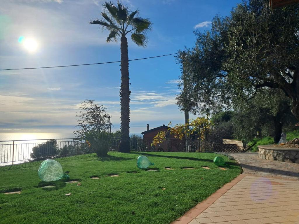 Casa Olivi e Mare photo 4