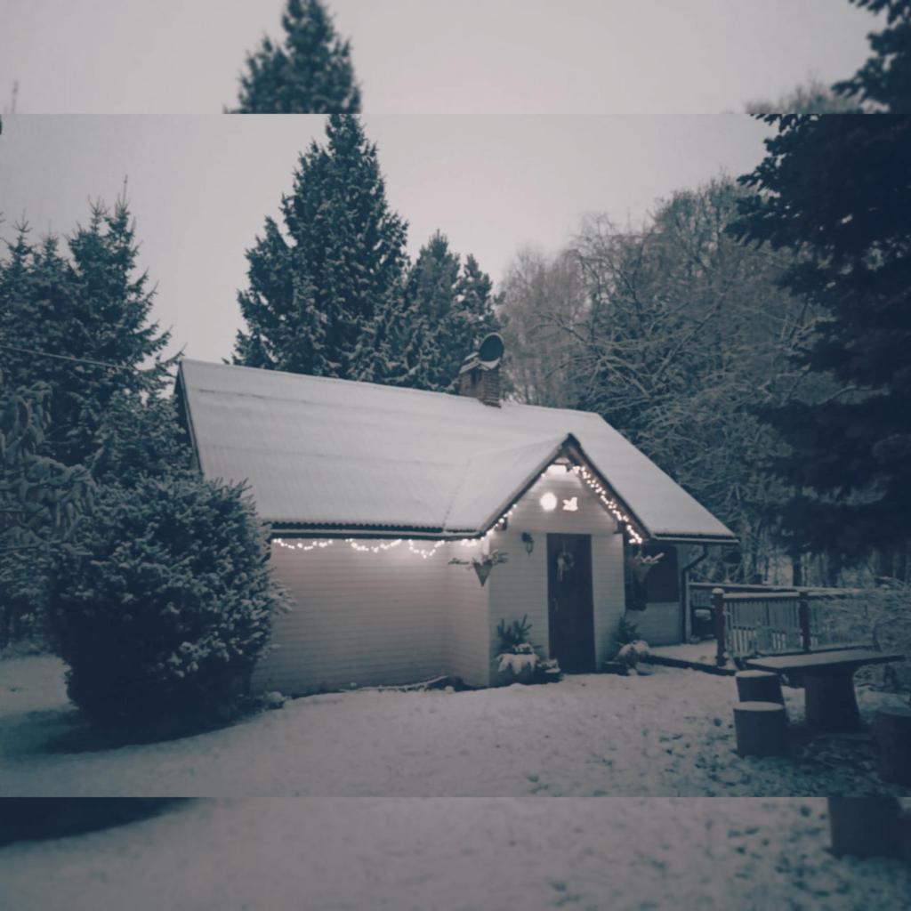 Niezapominajka photo 2