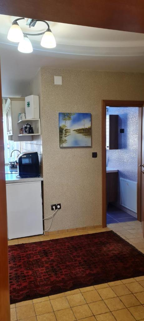 Center apartment photo 4