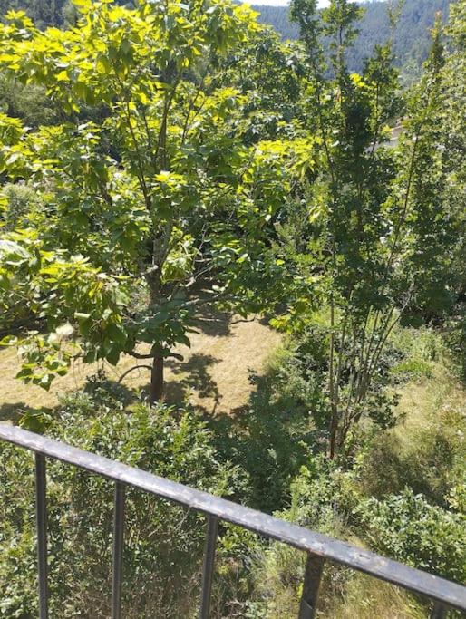 Maison au bord de la rivière photo 1
