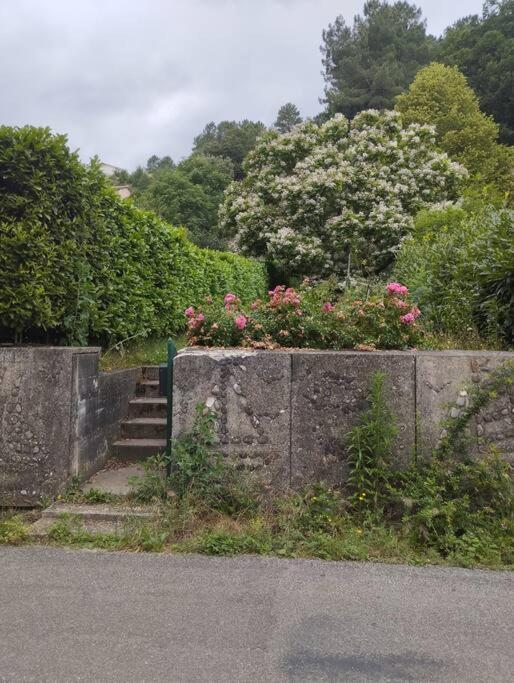 Maison au bord de la rivière photo 2