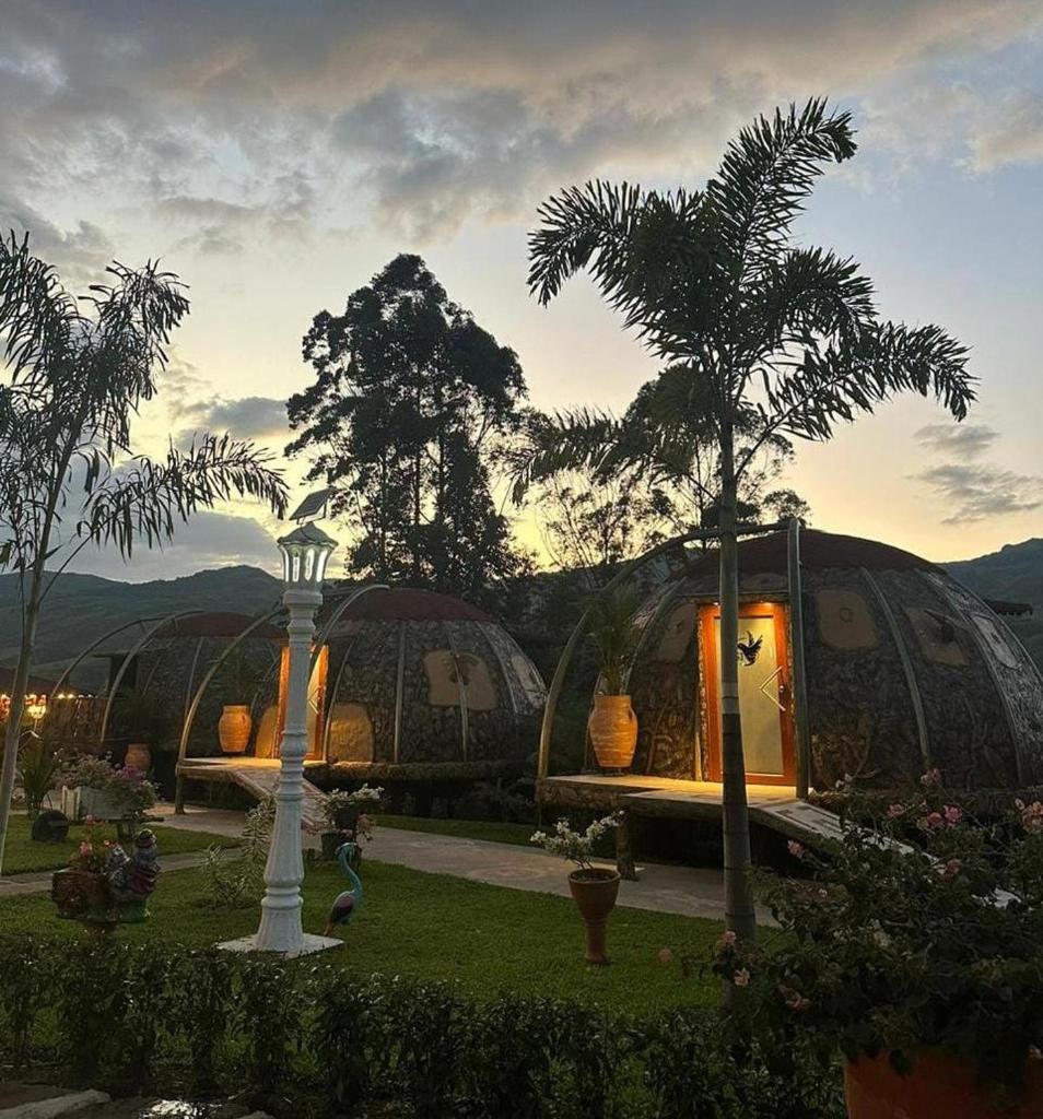 Eco glamping Santillana photo 1