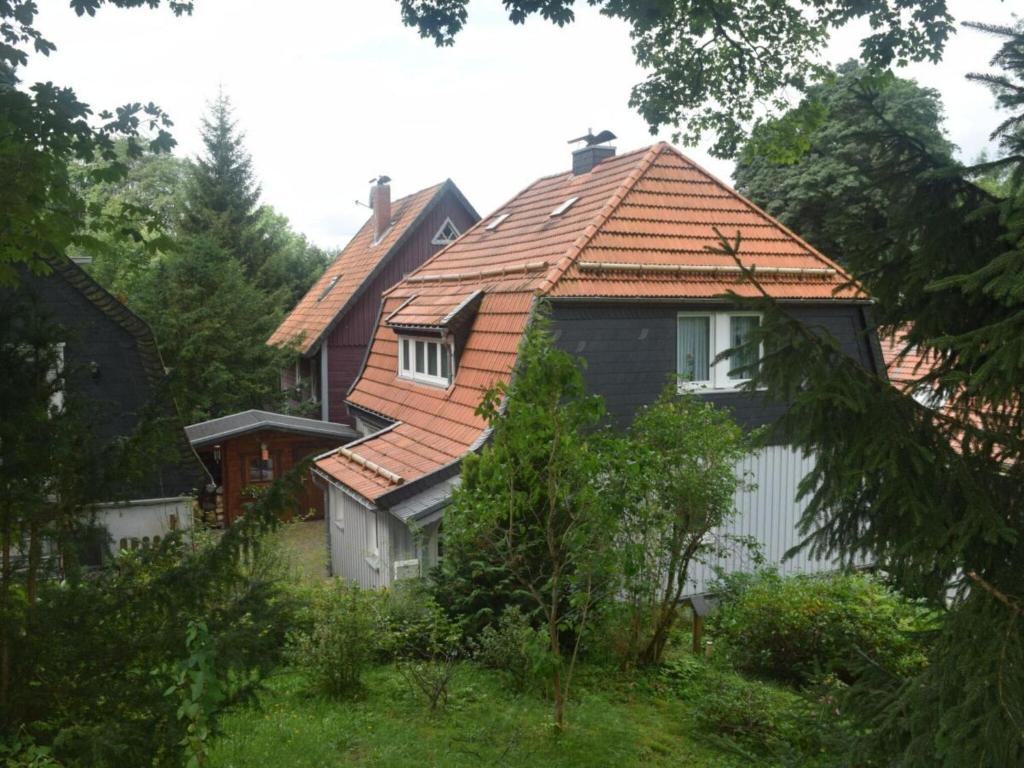 Holiday home to the pigeon