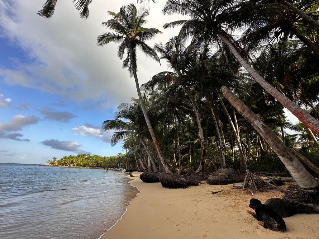 ENSUEÑOS NATURAL RESERVE Little Corn Island Nicaragua photo 1
