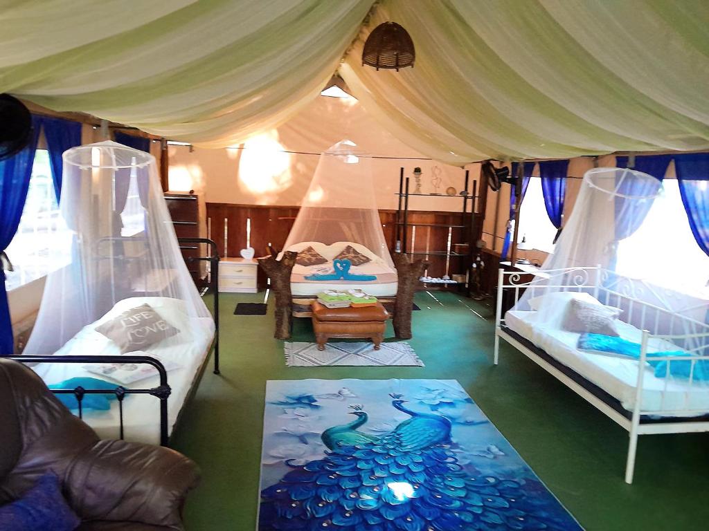 Fully Furnished FAMILY JUNGLE TENT, Latino Glamping Paquera photo 2