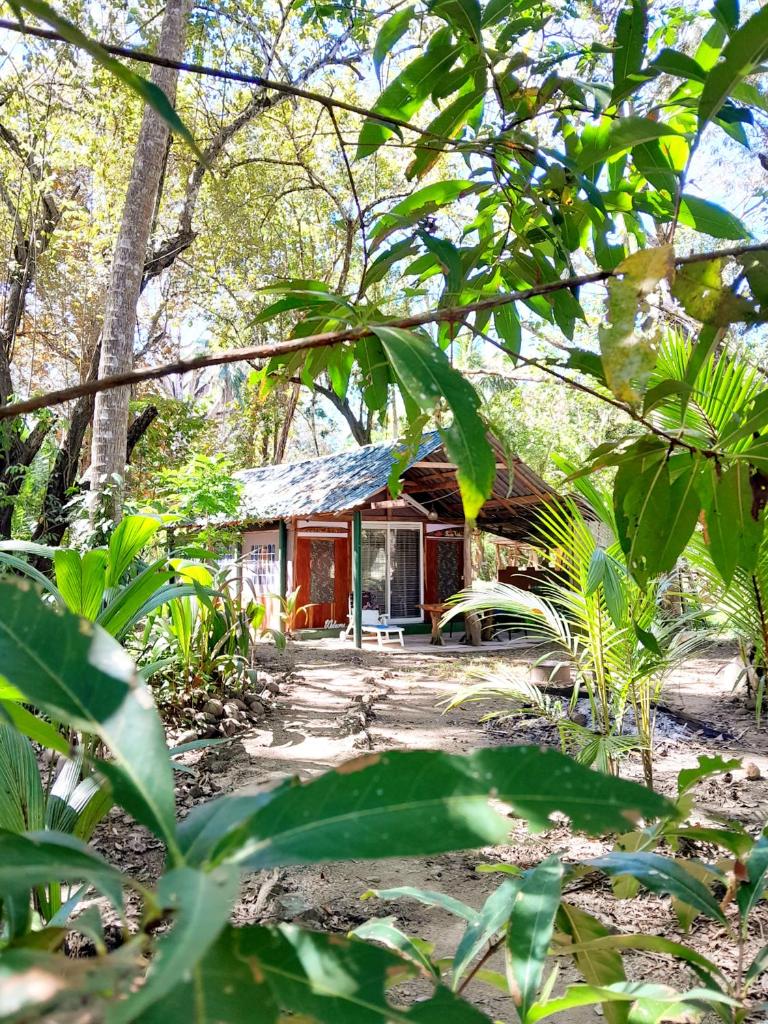 Fully Furnished FAMILY JUNGLE TENT, Latino Glamping Paquera photo 4