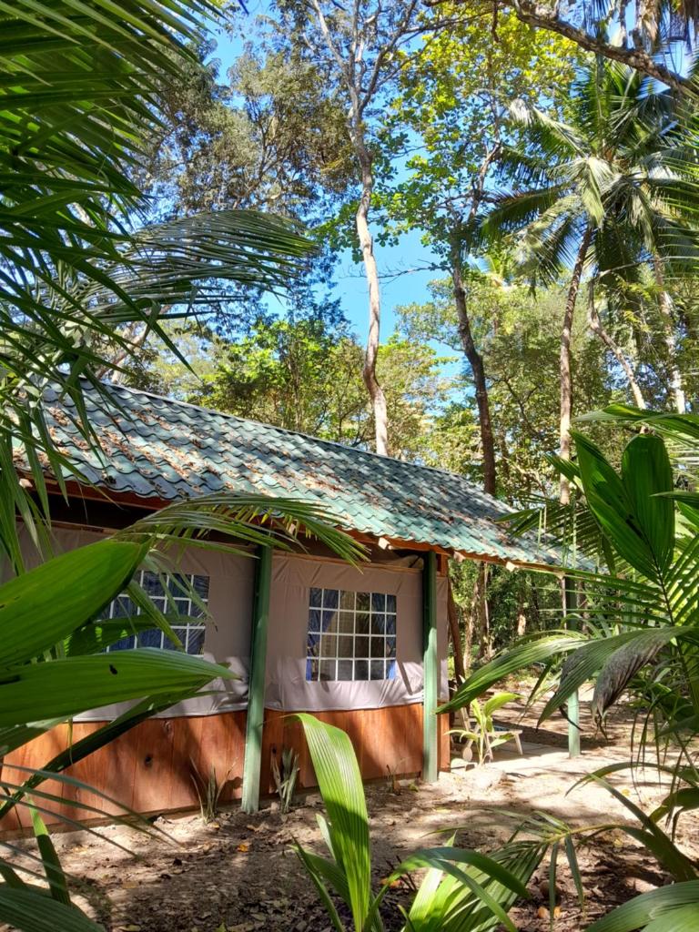 Fully Furnished FAMILY JUNGLE TENT, Latino Glamping Paquera photo 3