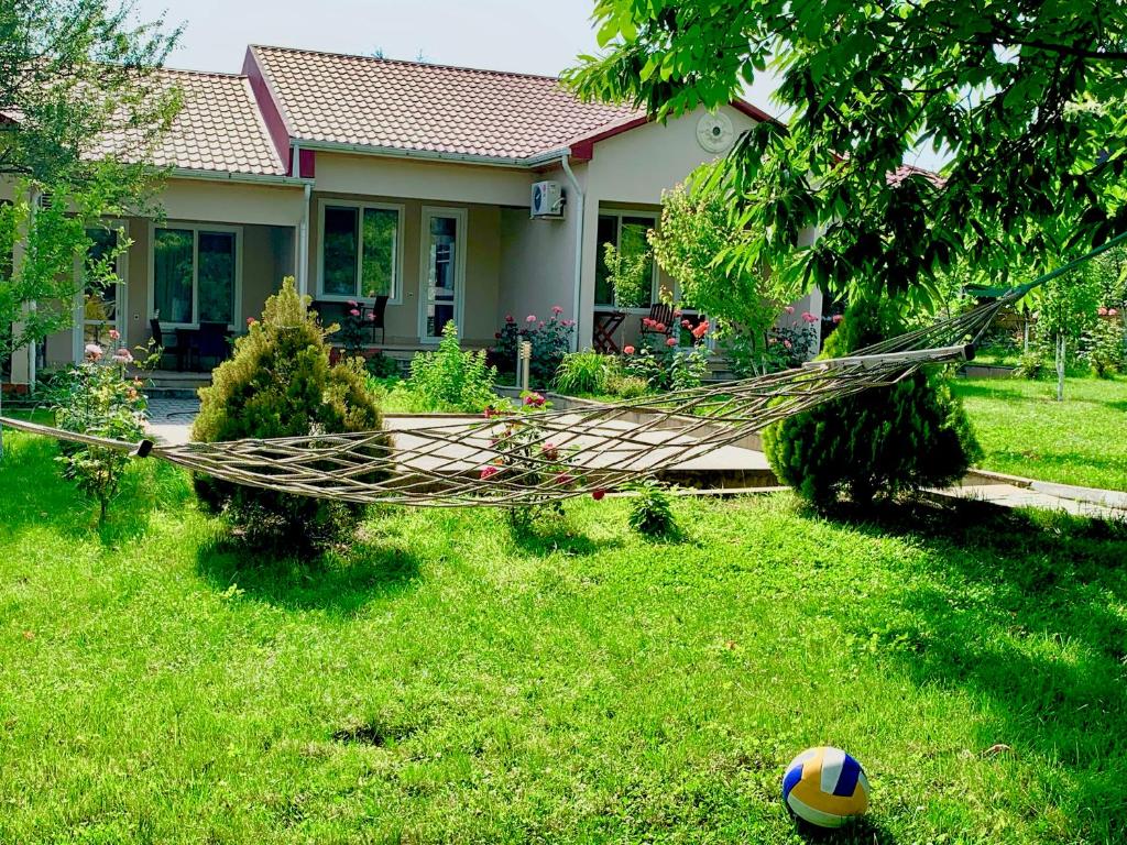 Cozy Family Cottages photo 2