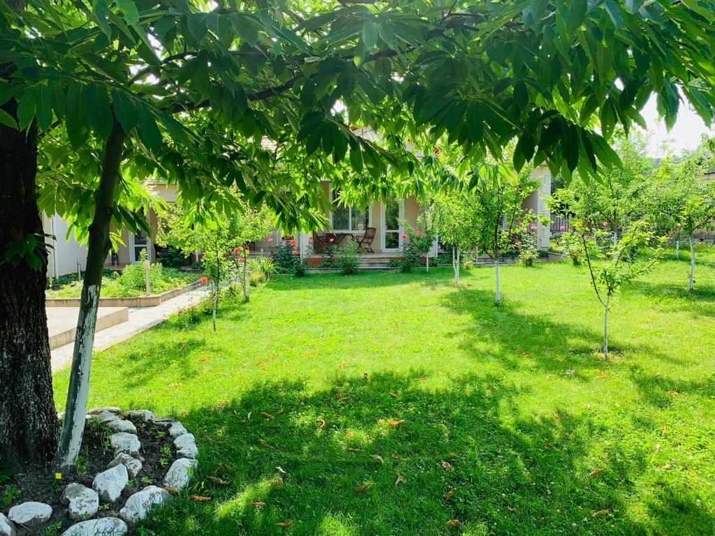 Cozy Family Cottages photo 4