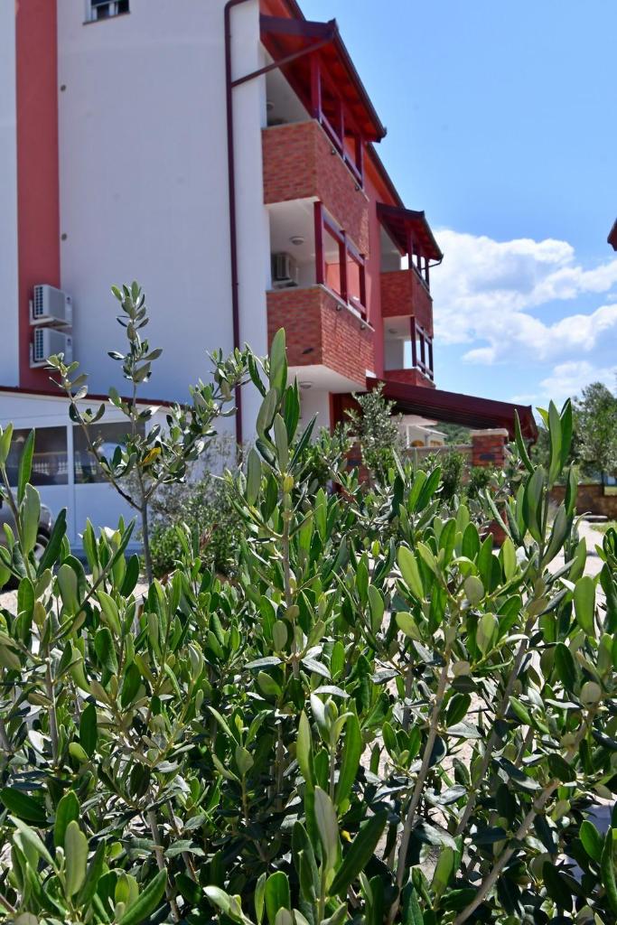 Apartmani Kičuda photo 3