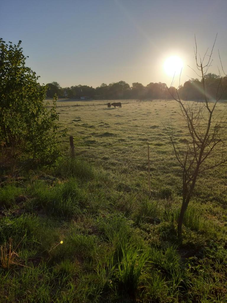 Pension Sander photo 3