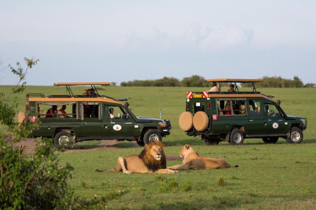 Soroi Mara Bush Camp photo 1