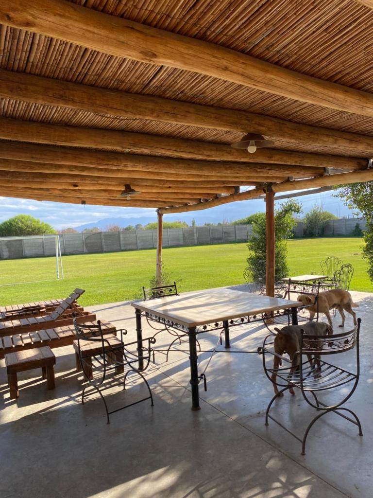 CASA QUINTA photo 2