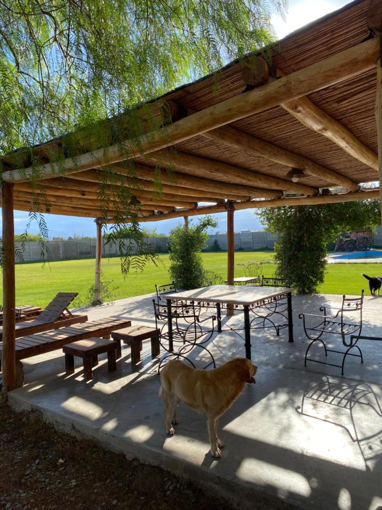 CASA QUINTA photo 3