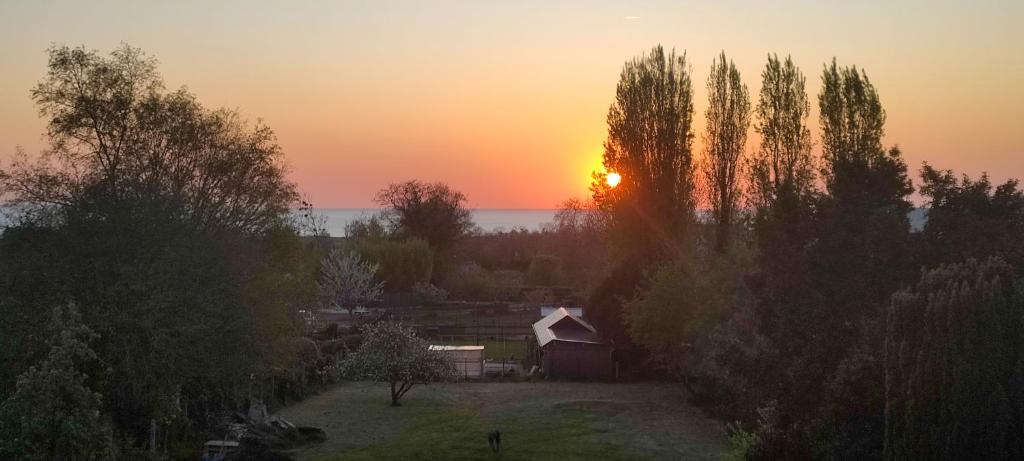 GÎTE Les Cigognes N0ires photo 3